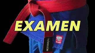 Hồng Đai - Red Belt Integral Vovinam 2019