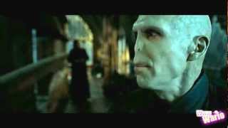 YTP: Voldemort's New Ministry Order