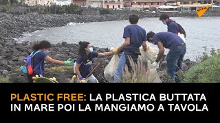 Plastic free: "La plastica buttata in mare poi la mangiamo a tavola"