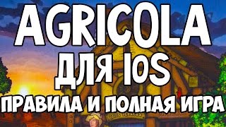 Играем в "Agricola" на iPad. Основные правила и ход игры.