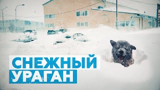 «Снега — по самый козырёк дома»: видео с Сахалина, где бушует циклон