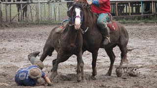 ?Ахиллес - лучшая лошадь! ? Мыкты ат! The best horse!