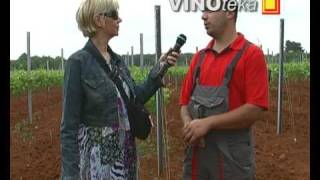 Bruno Trapan