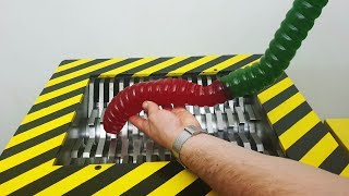 EXPERIMENT Shredding World's Largest Gummy Worm