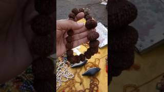MUST WATCH  HOW TO SALE 1 TO 21 Mukhi FAKE  RUDRAKSHA BEADS SALE 6000 MARKET 1 TO 21 FACE RUDRAKSH