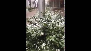 SALJU PERTAMAKU DI JEPANG/TRIP BERSAMA KELUARGA