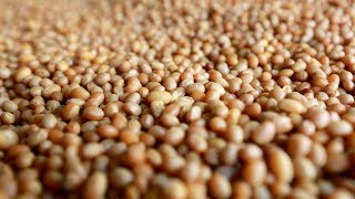 US releases proposed tariff list involving Chinese products