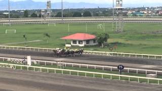 Horse Race Announcer Gets Electrecuted! Watch!