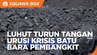 Luhut Turun Tangan Urusi Krisis Batu Bara Pembangkit