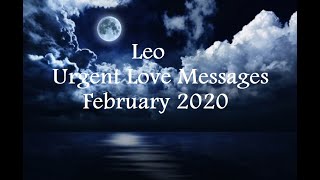 Leo Urgent Love Messages Feb 2020: Believe in the Impossible, Leo!!