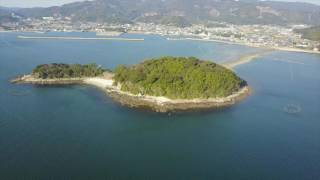 DJI Mavic Pro 異常画像３ コンニャク現象？