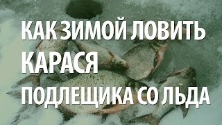 ЗИМНЯЯ РЫБАЛКА на КАРАСЯ, ЛЕЩА, ПОДЛЕЩИКА. ЛОВЛЯ на МОРМЫШКУ и ПОПЛАВОК