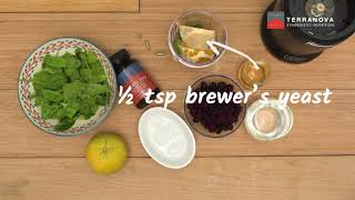 Terranova Easy Iron Smoothie