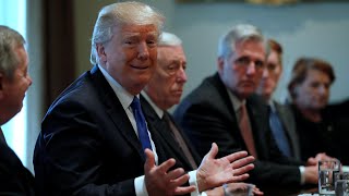 'I'll beat Oprah': Donald Trump dismisses 2020 election speculation