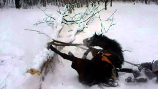 Окропим снежок красненьким