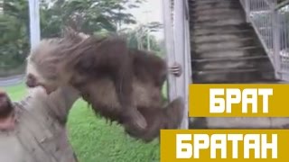 Когда меня отпустит