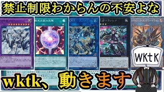 【遊戯王】2020年1月からのリミットレギュレーション予想！今期も難しい…【制限改訂】
