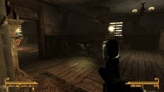 Fallout New Vegas Mod: Flashlight NVSE