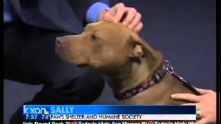 Pet of the Week