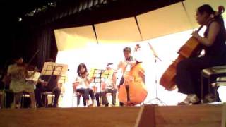 20100828 Arpeggione Sonata for Contrabass(Doublebass) & String Orch.