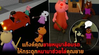 แก๊งค์คุณยายหมูมาล้อมรถ ให้กระดูกหมาช่วยไล่คุณยาย
