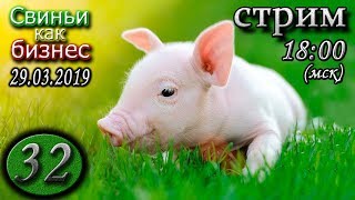 ⚫️ 32 стрим / 29 марта