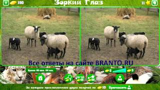 ЗОРКИЙ ГЛАЗ ответы на все уровни