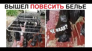 Лютые приколы. Вышел повесить белье в АВСТРАЛИИ