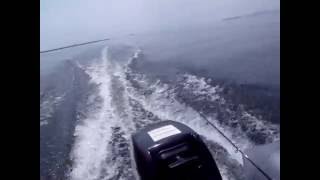 Кайман 330 и мотор Suzuki 9.9