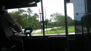 Disney bus ride from Disney's All Stars Sports Resort to Disney's Animal Kingdom