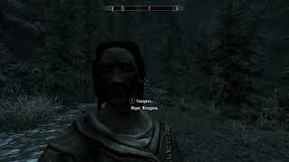 TES V: Skyrim. Воспоминания о былом ... День 6/Часть 17 (Запись стрима)