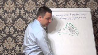 Как понизить болевые ощущения от пореза, укуса, ожога