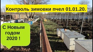 Зимовка пчел идет на позитиве! С Новым годом!