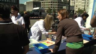 Journée de l'Hygiène des mains 2012