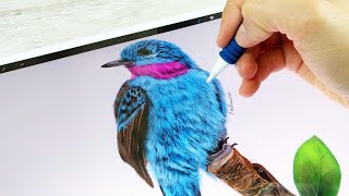 IPAD ART : HOW TO DRAW A REALISTIC BLUE BIRD | iPad Pro + Procreate