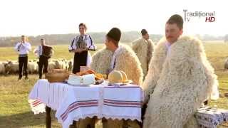 пастухи поют овец на горе
