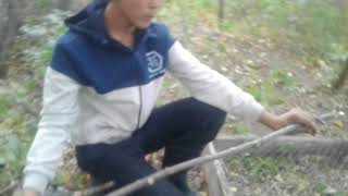 Классная ловушка для ловли ФАЗАНА 100% 3-ЭТАП