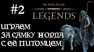 TES The Elder Scrolls: Legends (Прохождение #2) - Играем за самку норда с её питомцем
