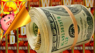 I Turned My Free Play INTO A MASSIVE WALLET OF CASH!