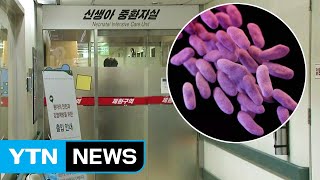 항생제 듣지 않는 슈퍼박테리아...사인 규명 단서될 가능성 있어 / YTN