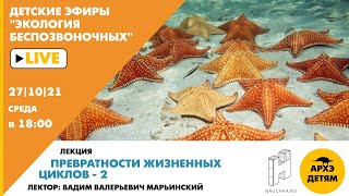 Детский эфир Вадима Марьинского "Превратности жизненных циклов - 2" курса "Экология беспозвоночных"