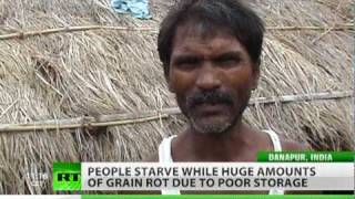 Grain Drain: Food rots as poor starve across India