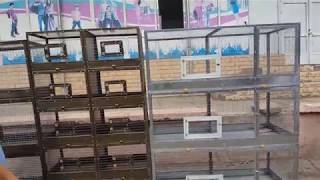Ташкентский птичий рынок: ВОЛЬЕРЫ 15.06.19