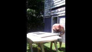 Crazy dad freaks out!!!!