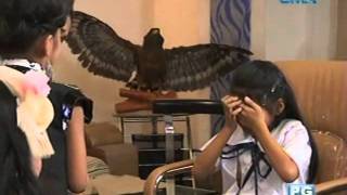 Biritera: Oh my! Darling