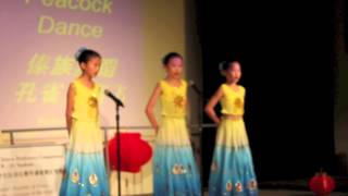 China Bridge Competition 2013