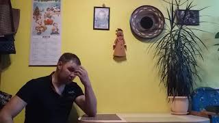 Как определить самцов от самок