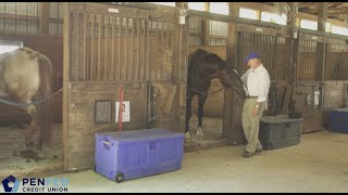 Maryland Therapeutic Riding