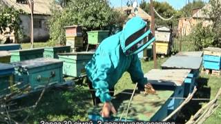 Internet for Farmers UKR
