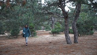 Новогоднее поздравление Элен (2019)